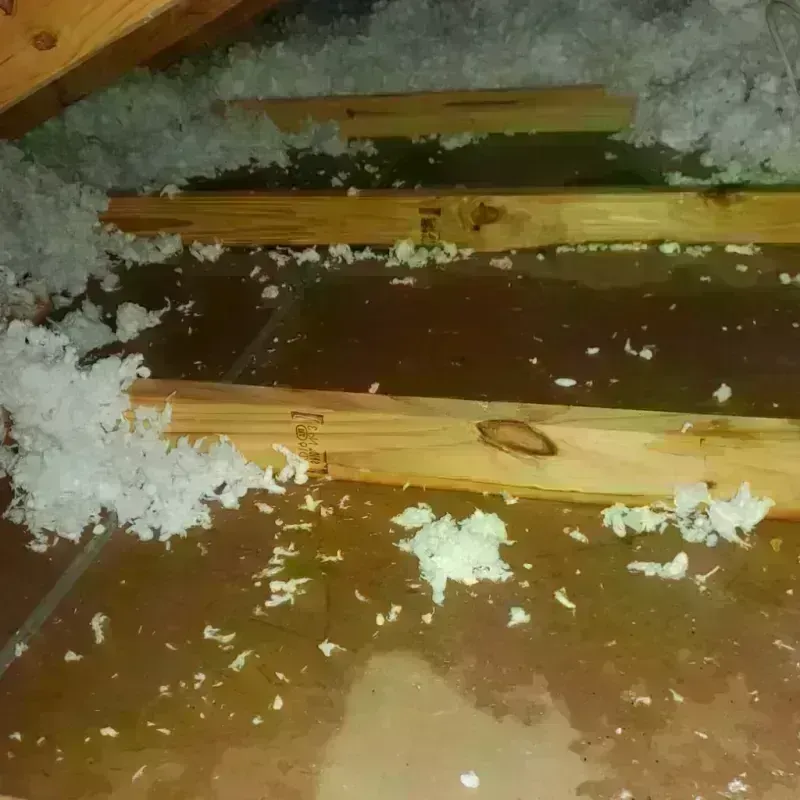 Attic Water Damage in Gaston County, NC