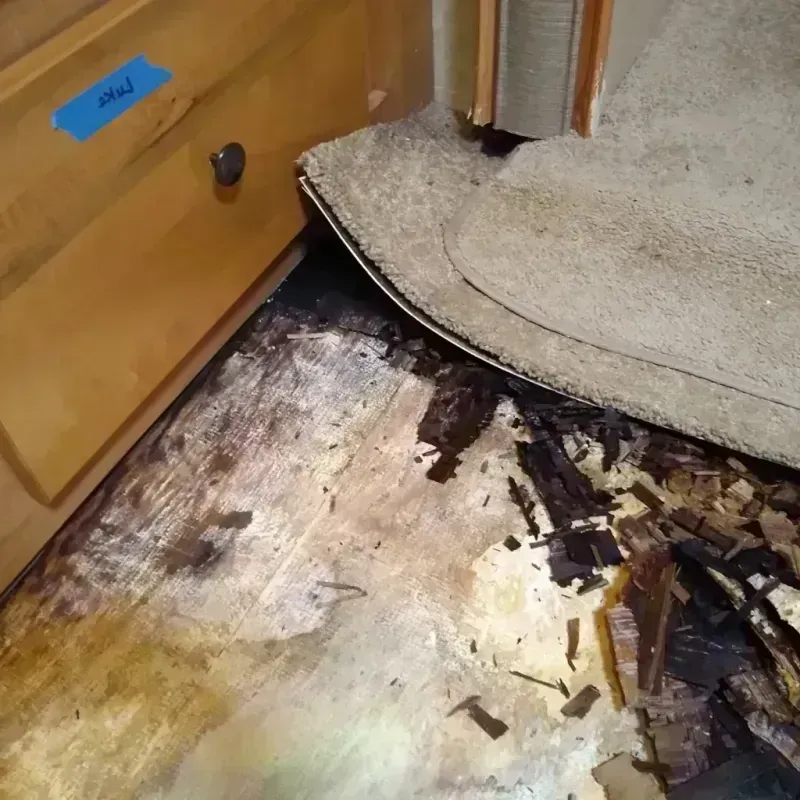 Best Wood Floor Water Damage Service in Gaston County, NC